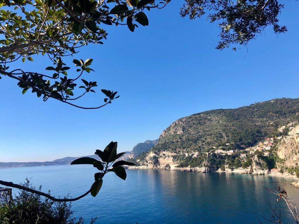 Une Terrasse Sur Monaco Logement 2 Chambre Beausoleil Kültér fotó